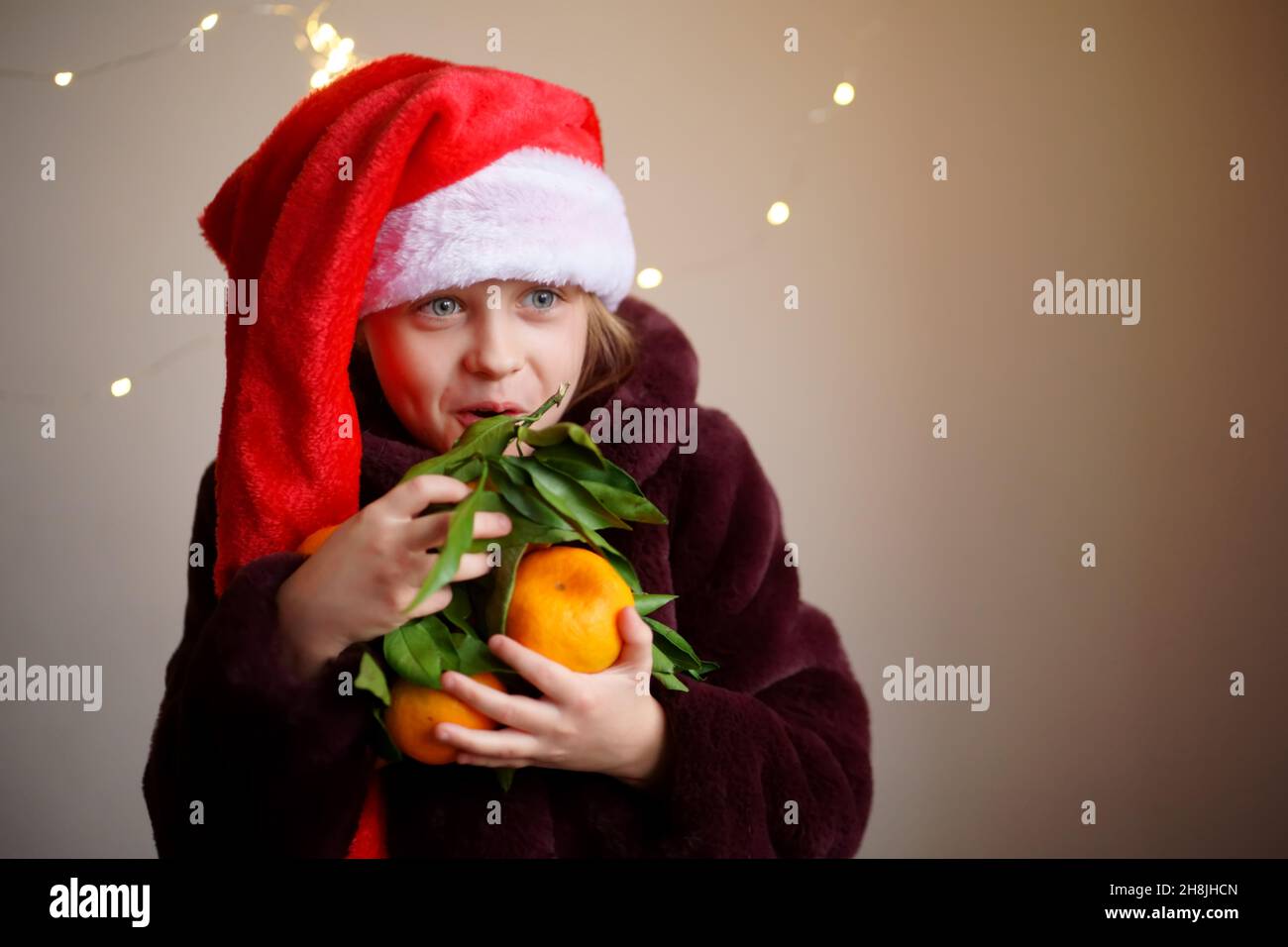 A Caucasian happy girl in a red Santa cap and a fur coat holds a lot of tangerines with leaves. There are lights in the background. Stock Photo