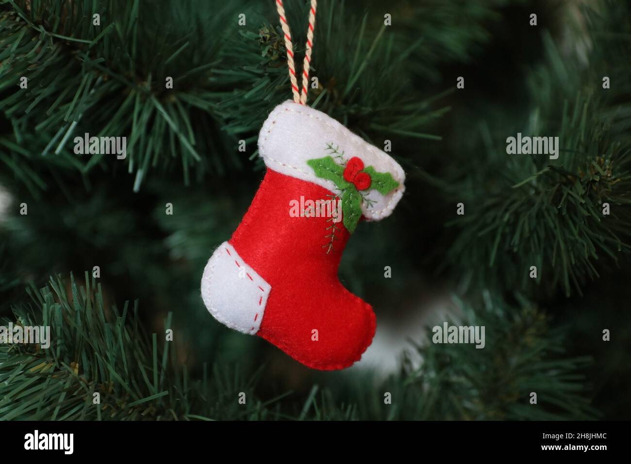 Christmas sock hanging on a Christmas tree. Stock Photo
