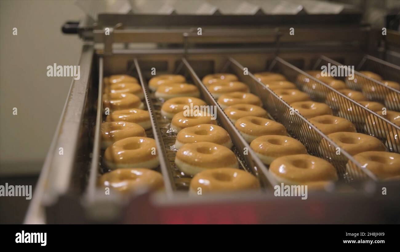 Procedure of making donuts in a small town donut bakery donuts frying