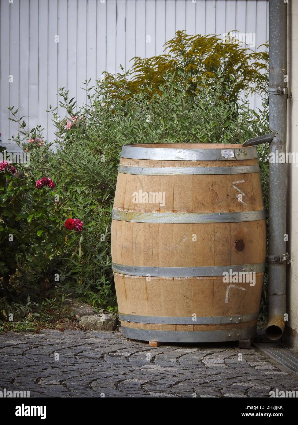 Vertical shot of an old big wooden rain barrel in the garden Stock