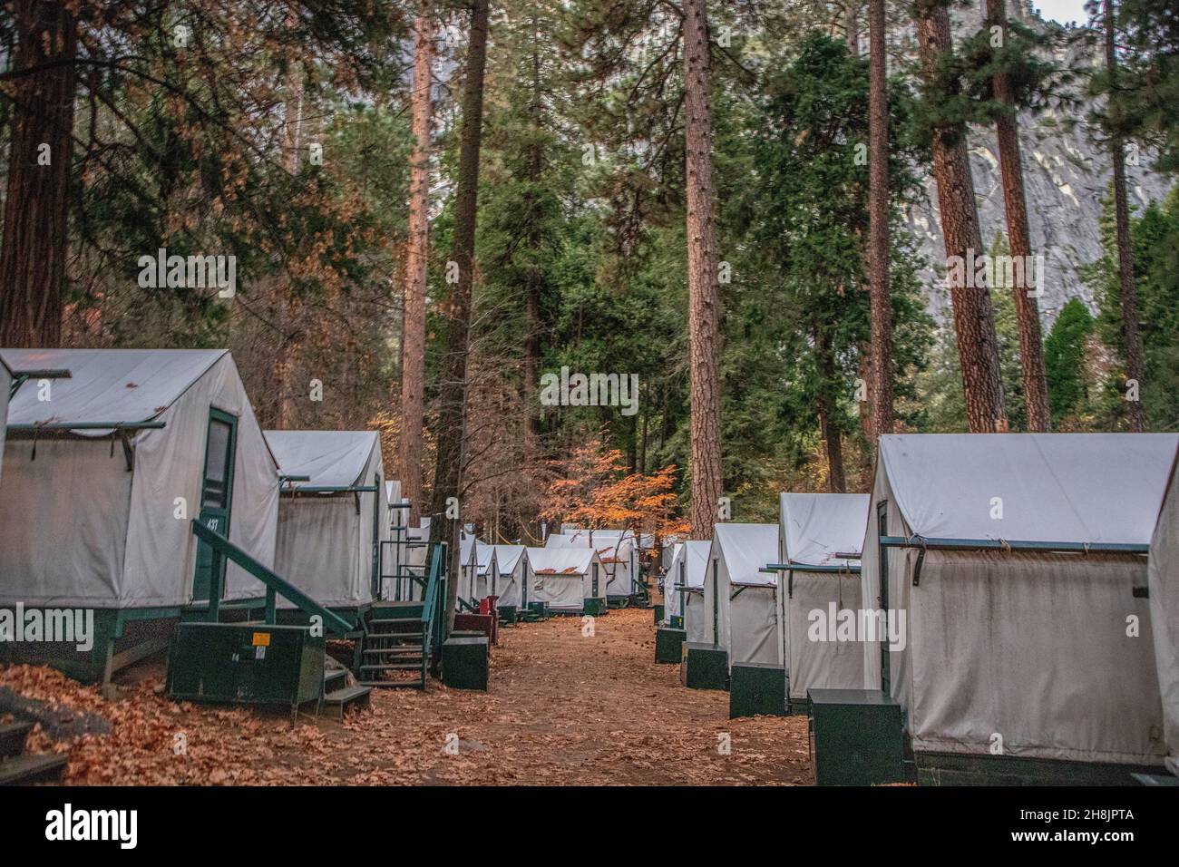 Camp Curry is a rustic place to stay in Yosemite Valley, California. The  village consits of unheated and heated tent cabins Stock Photo - Alamy