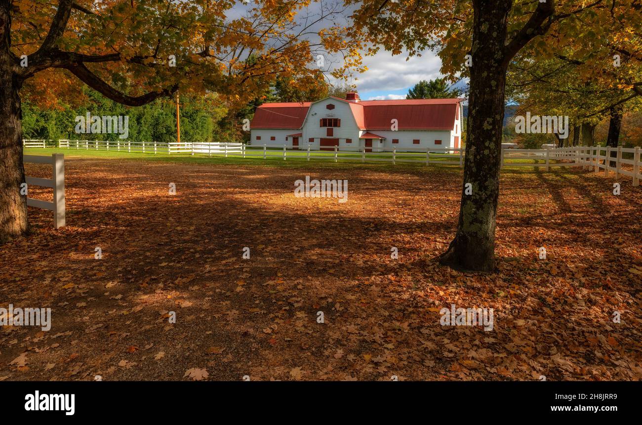 Allendale mansion hires stock photography and images Alamy