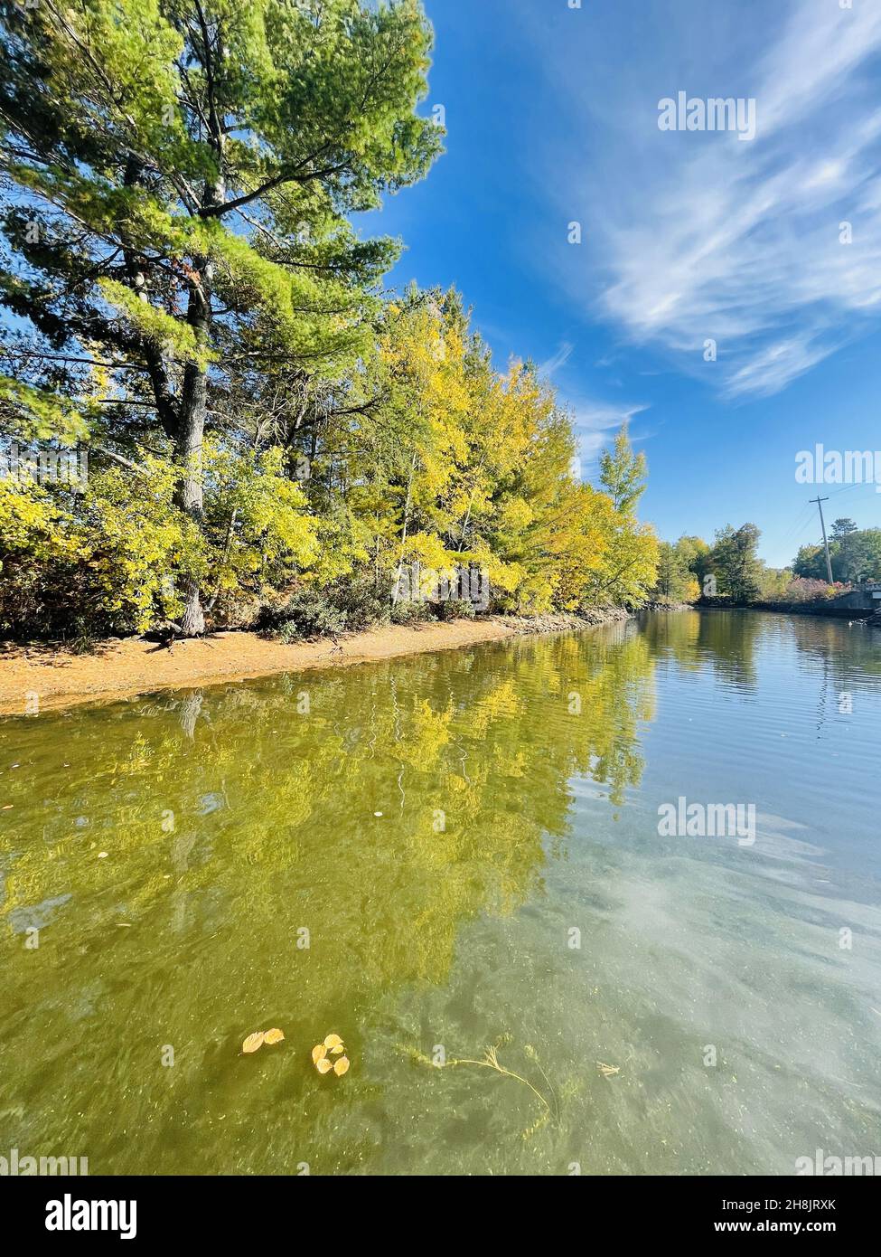 Vertical shot of trees and their beautiful reflection in the lake Stock ...
