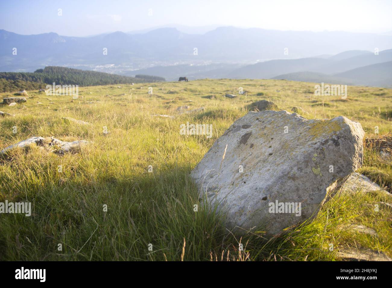 Large rock in a meadow on top of a hill Stock Photo - Alamy