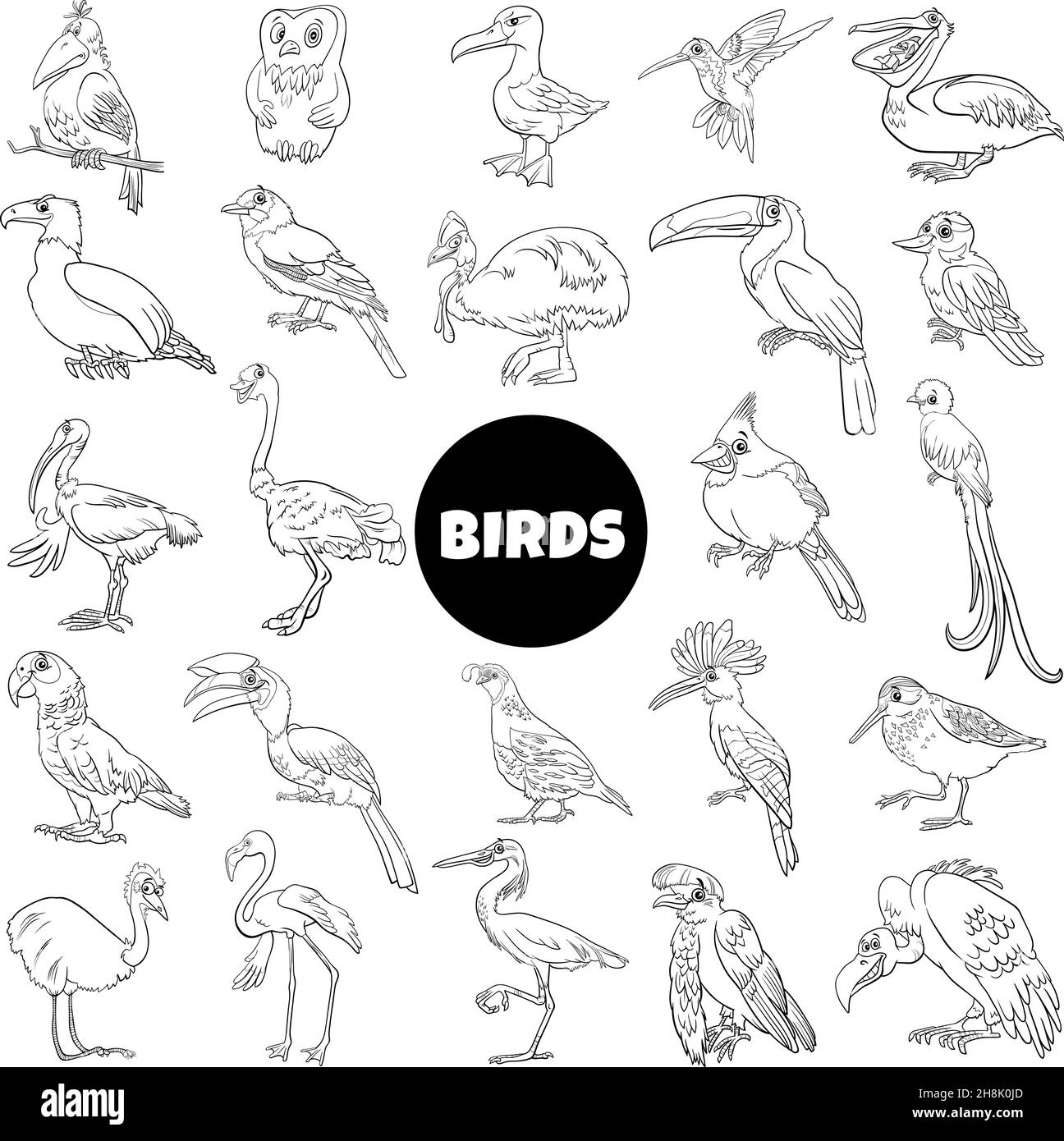 Black and white cartoon illustration of birds species animal characters big set Stock Vector