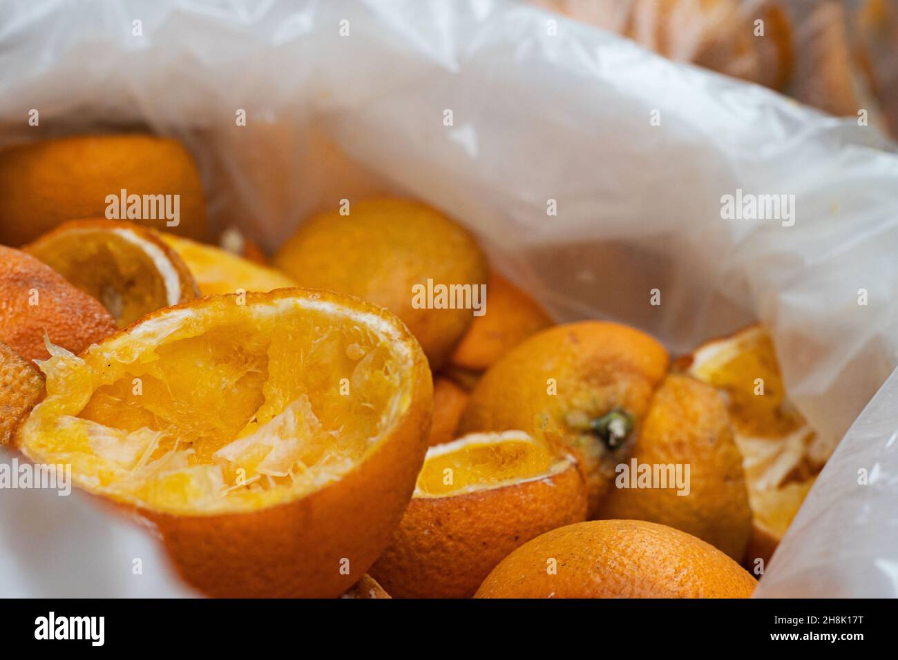 Leftover orange peels in a plastic trash bag. Old and used oranges thrown  away after have been used to make fresh orange juice Stock Photo - Alamy