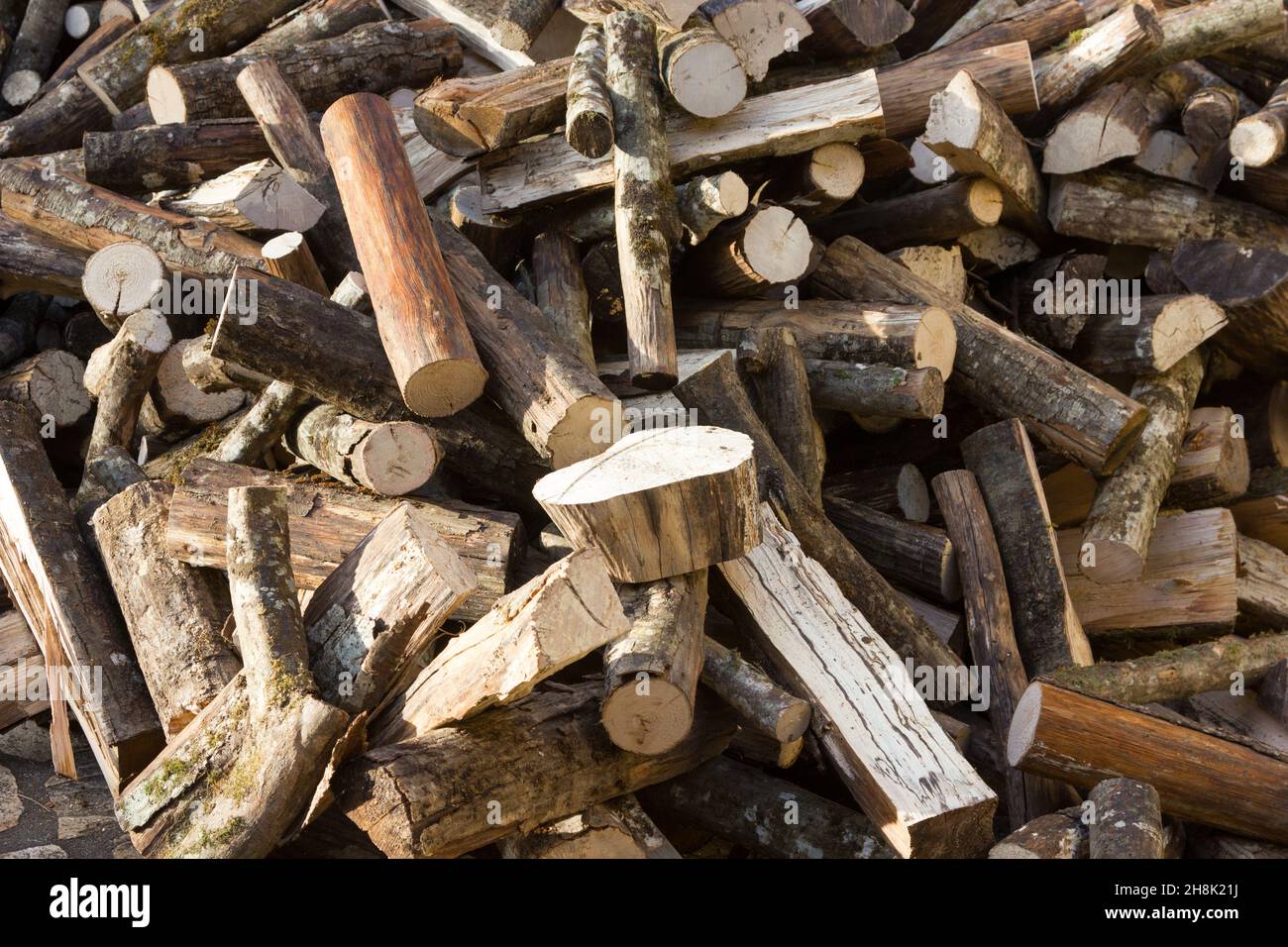Pile of seasoned logs Stock Photo