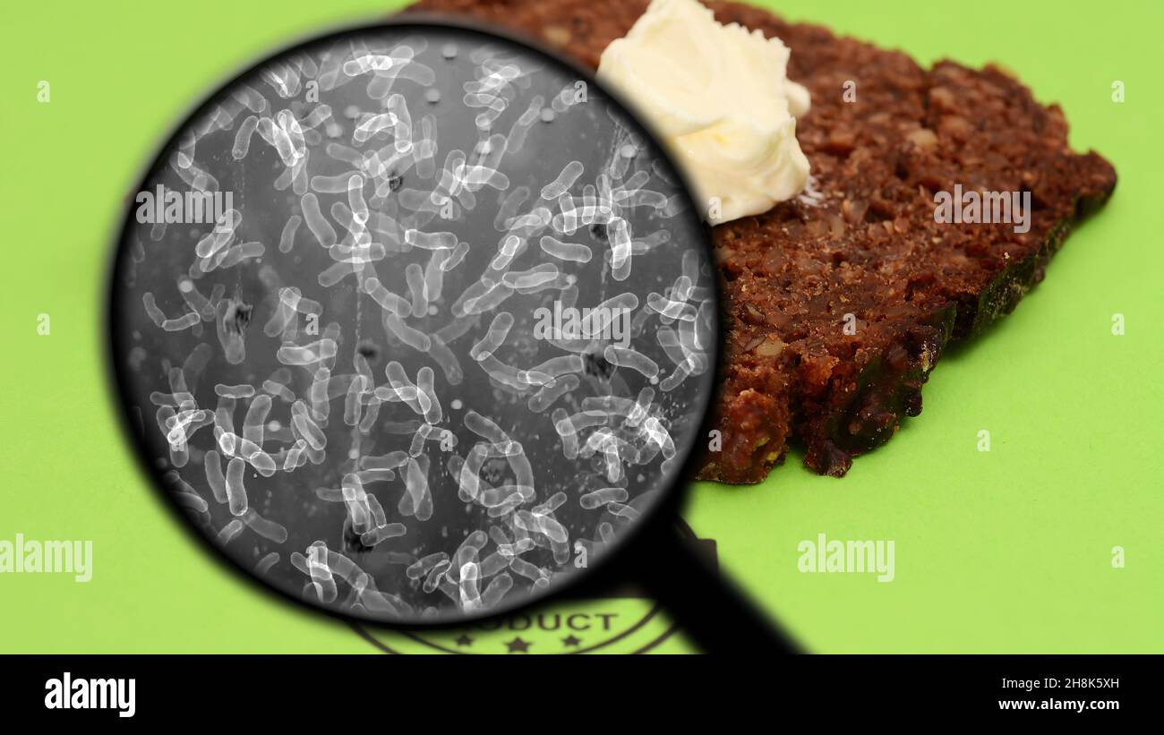 Searching for bacteria in bread Stock Photo Alamy