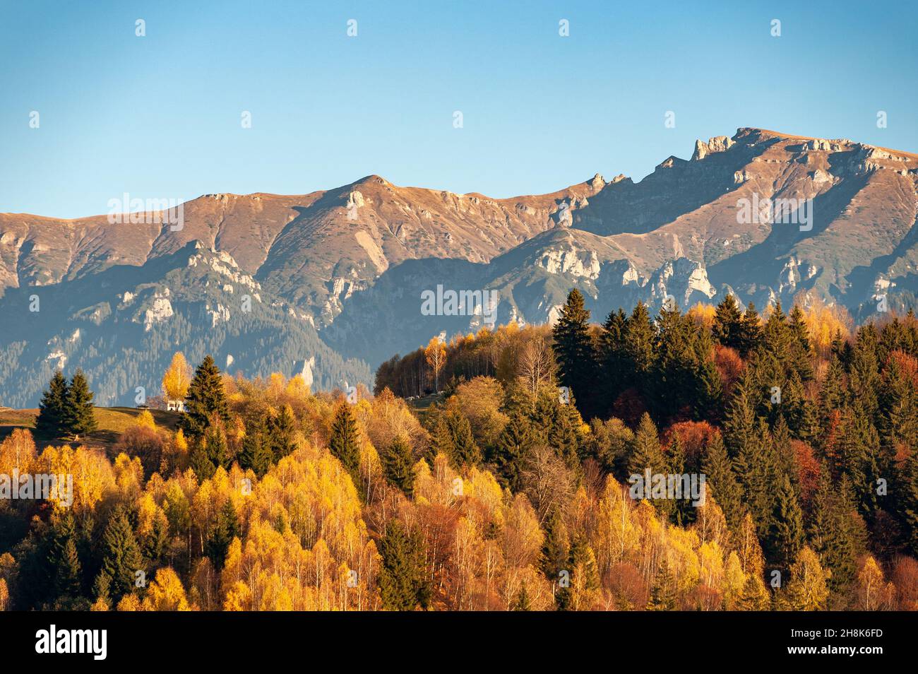 Beautiful view of trees with autumn colors on the mountain Stock Photo ...