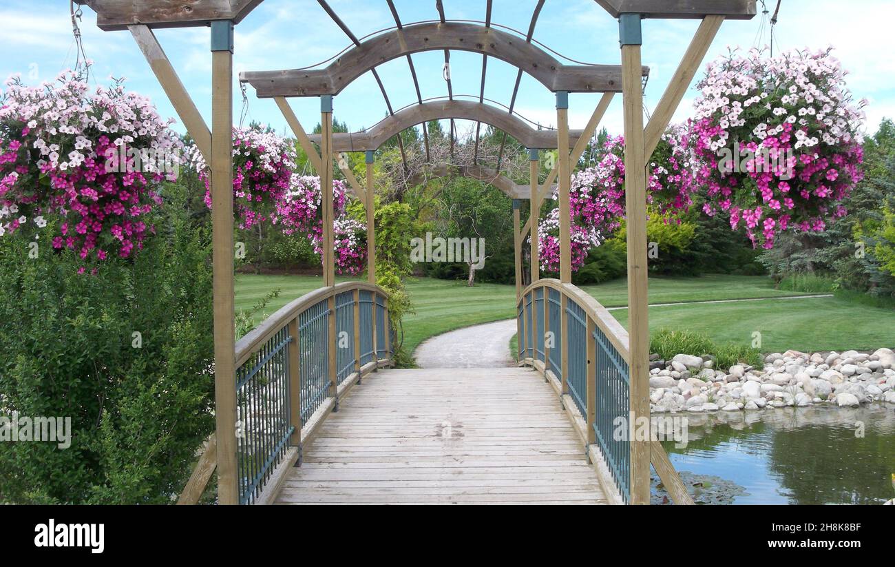 Wooden bridge running over a well maintained pond and garden with flowers hanging from a covering Stock Photo