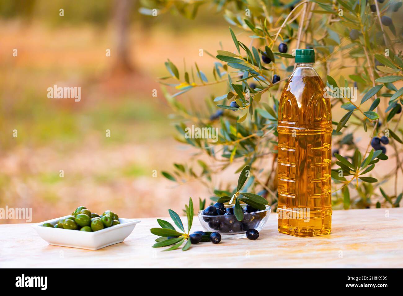 Olive oil in bottle on garden table Stock Photo