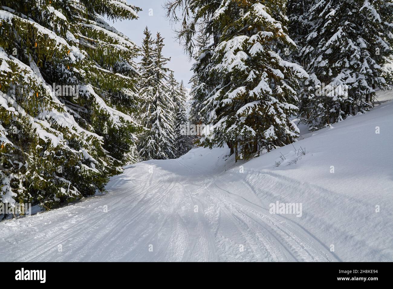 Winter Snowy Mountain Landscape Stock Photo