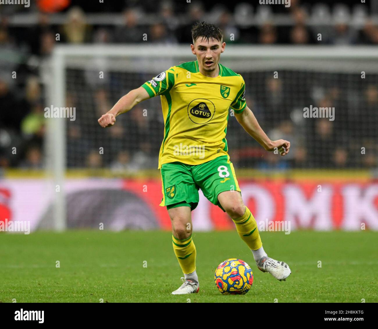 Billy gilmour hires stock photography and images Alamy