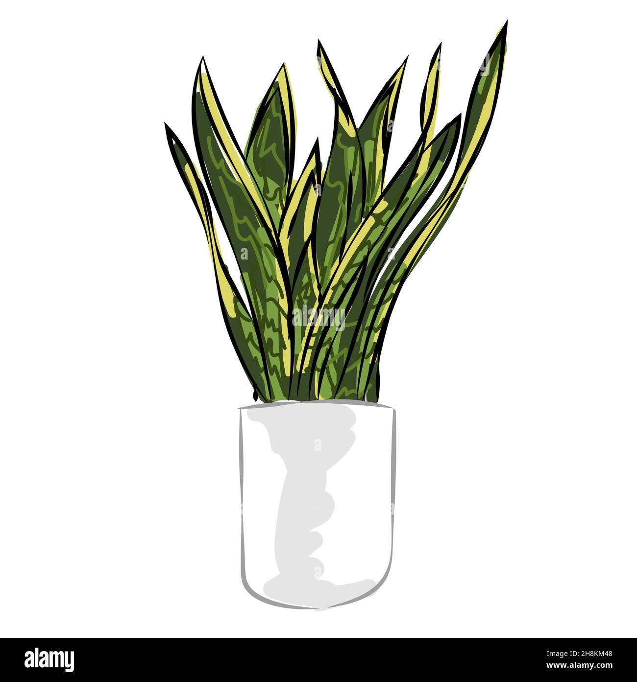Wall Art Print | gold snake plant | Abposters.com