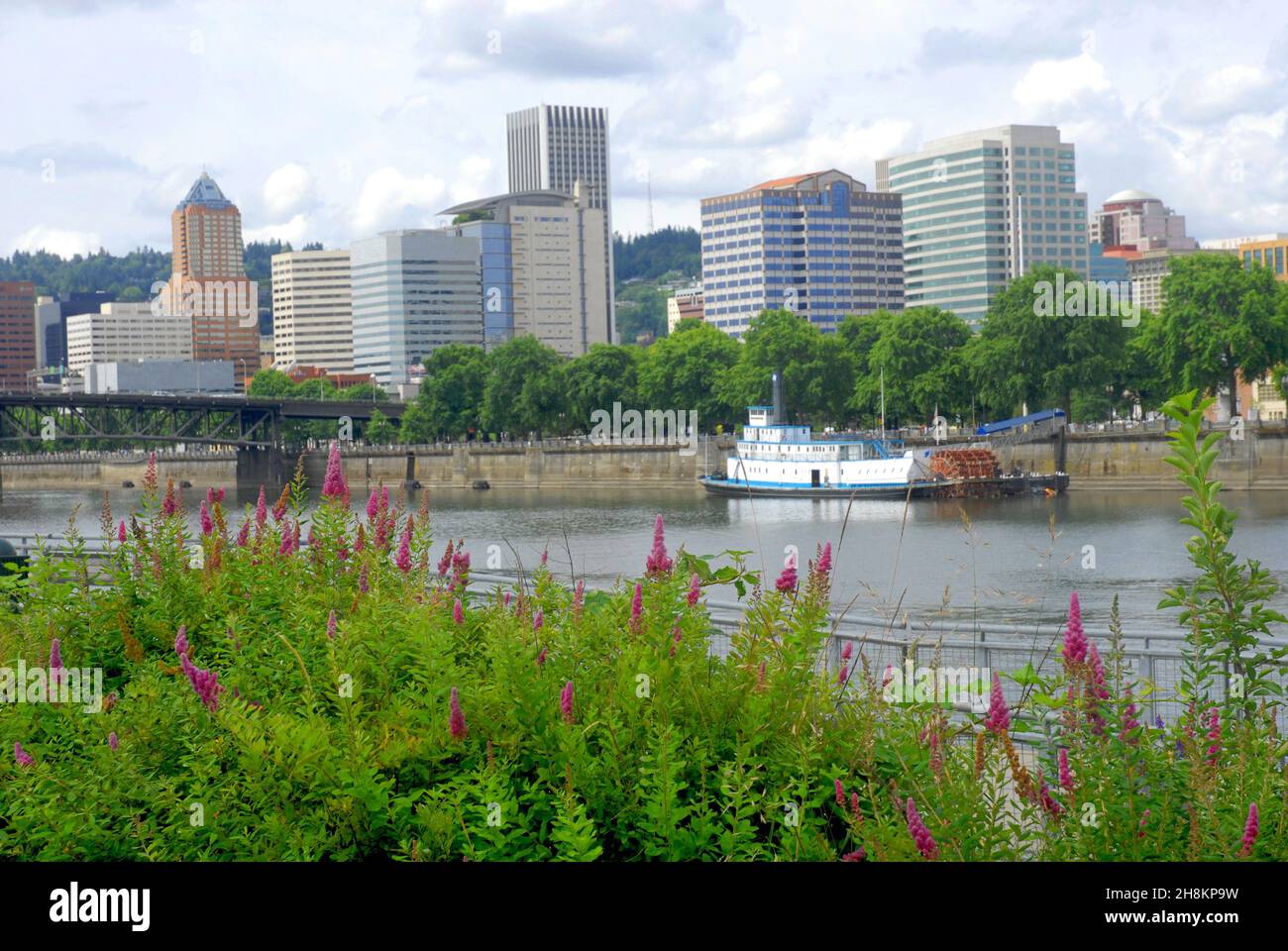 Willamette river and downtown Portland, Oregon Stock Photo