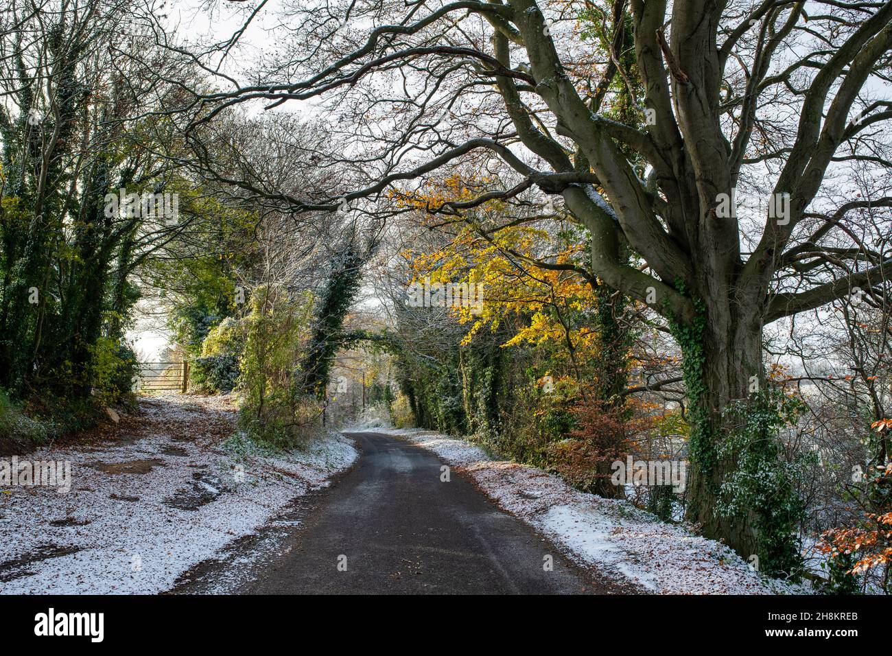 Late autumn, early winter snow in the Oxfordshire countryside, England ...