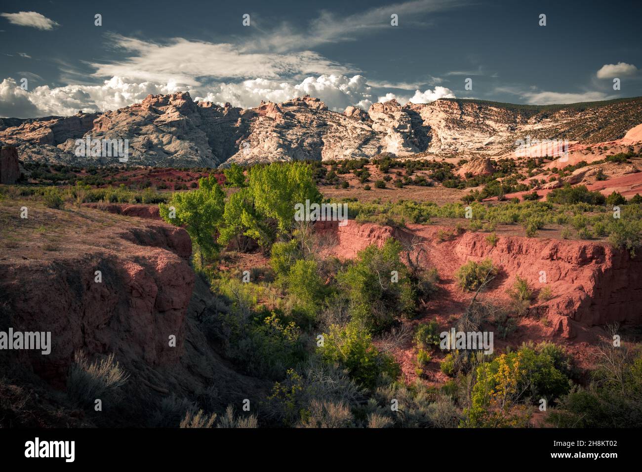 The beautiful view cloudy sky, red and green canyon in Colorado. The ...