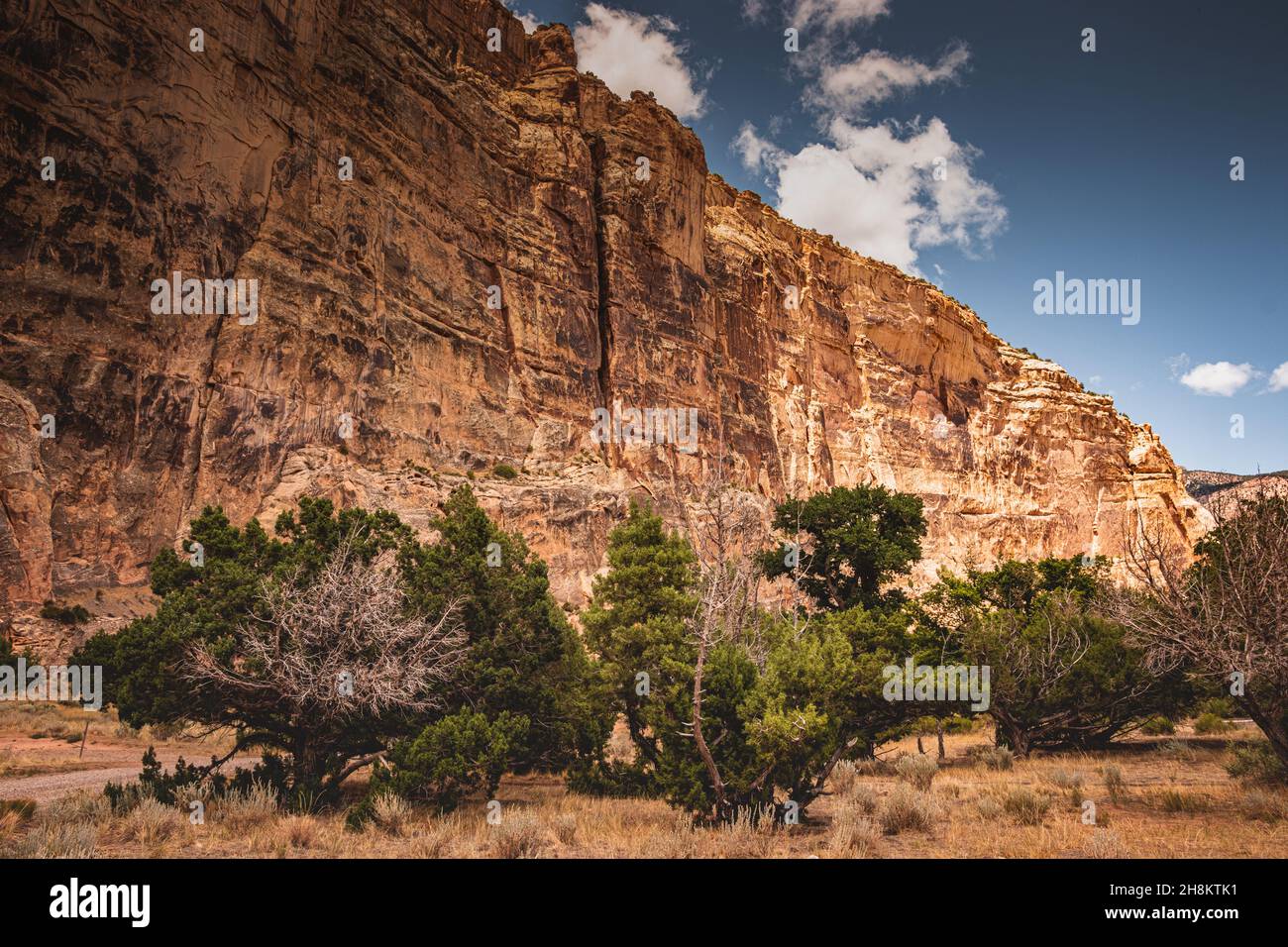 Landscape photo on a stone wall background in Echo Park Campground, Dinosaur Nation Monument, Utah and Colorado, USA Stock Photo