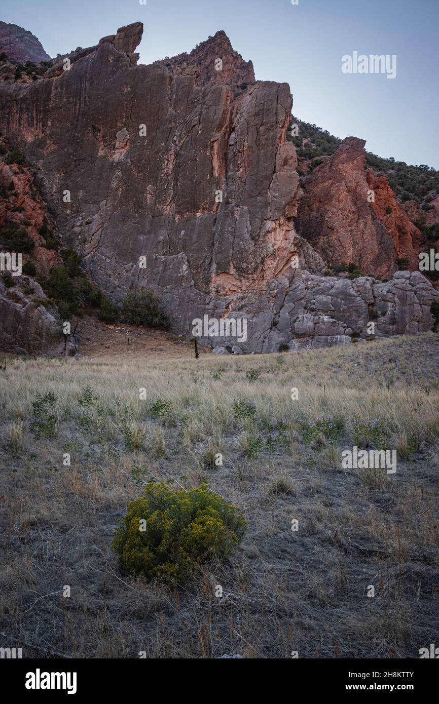 Landscape photo on a stone wall background in Echo Park Campground, Dinosaur Nation Monument, Utah and Colorado, USA Stock Photo
