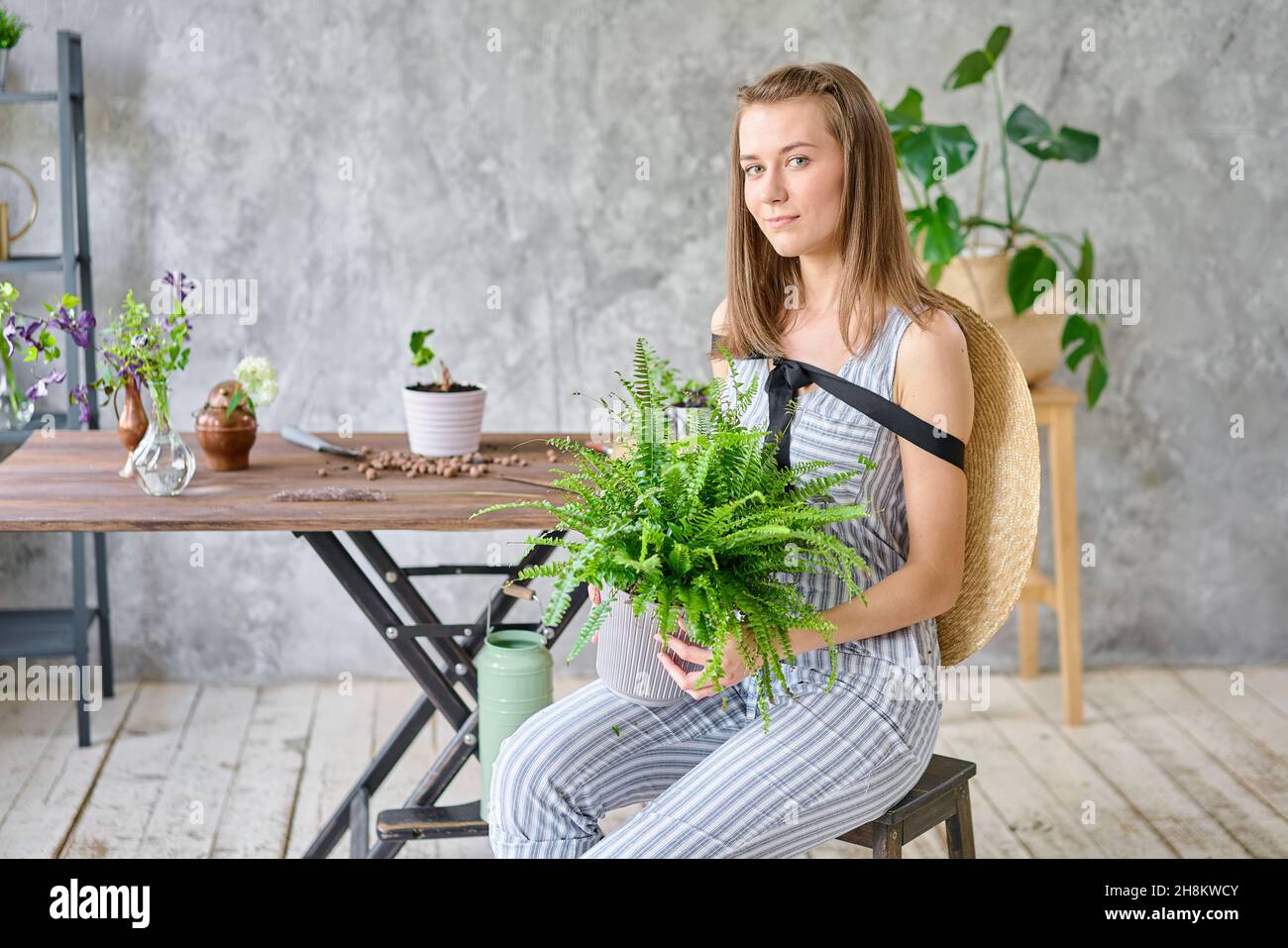 Closeup hands of Woman watering a fern, a houseplant. Concept of home garden. Flower and garden shop Stock Photo