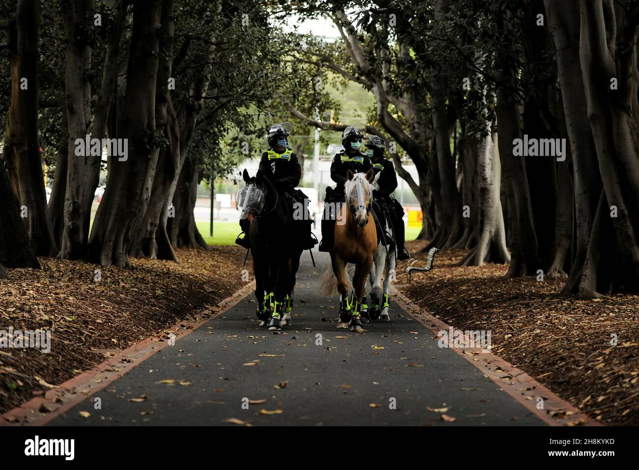 Police on horse back ride along an avenue of trees in Treasury Garden in Melbourne before a planned protest. An anti-Daniel Andrews State Premier protest in Treasury Gardens attracted a strong police response, left protesters out numbered by mounted, public order and general duties police officers on Saturday in Melbourne CBD. (Photo by Michael Currie/Speed Media) Stock Photo