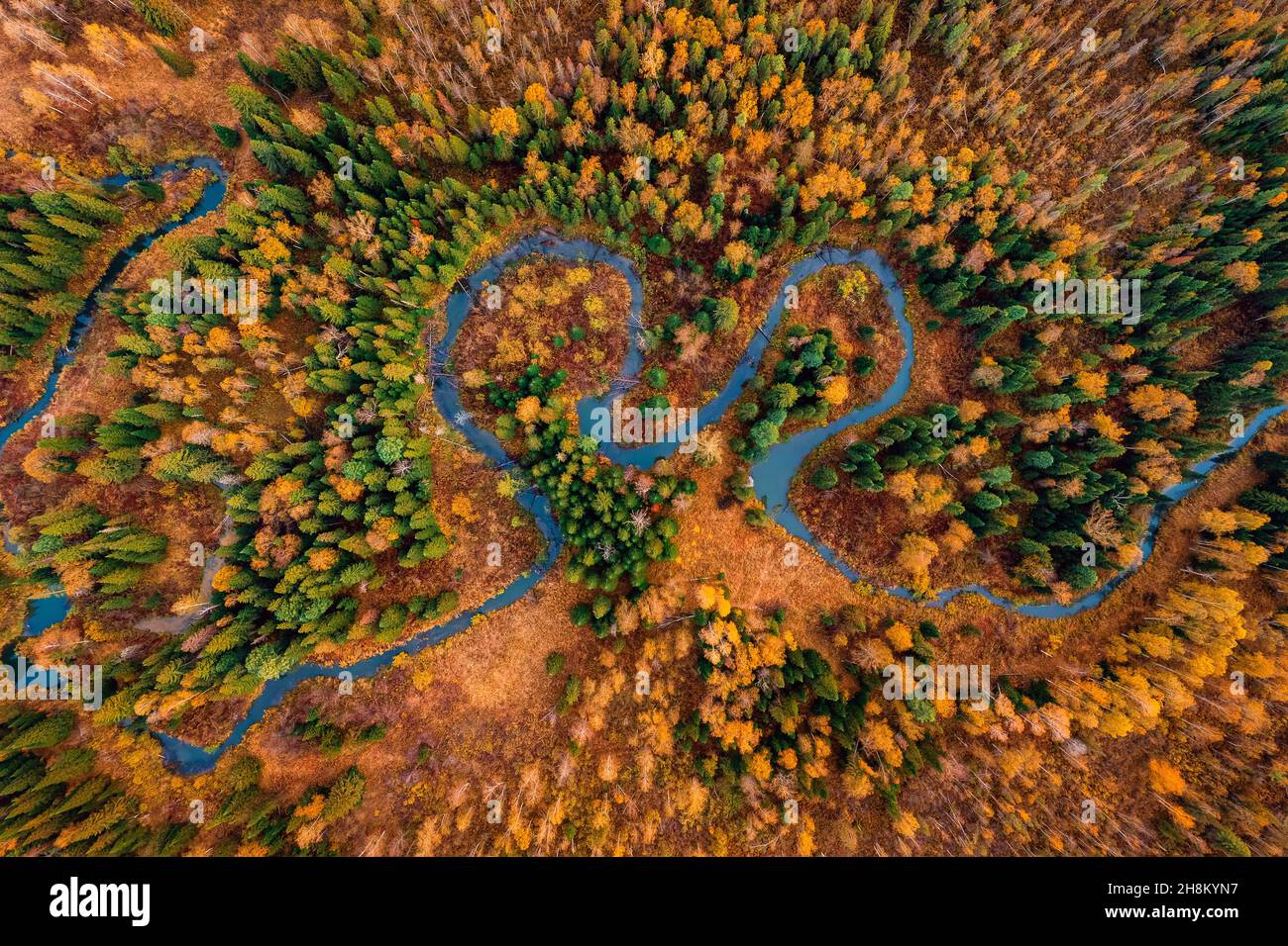 Aerial winding road among trees hi-res stock photography and images - Alamy