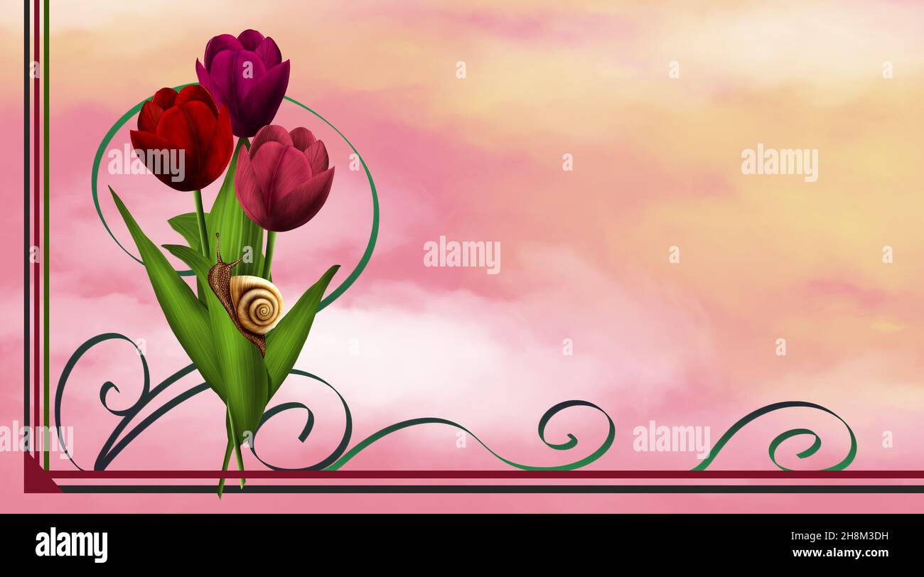 Template with three flowers, a snail and curlicues on a pink sky background. Illustration. Stock Photo
