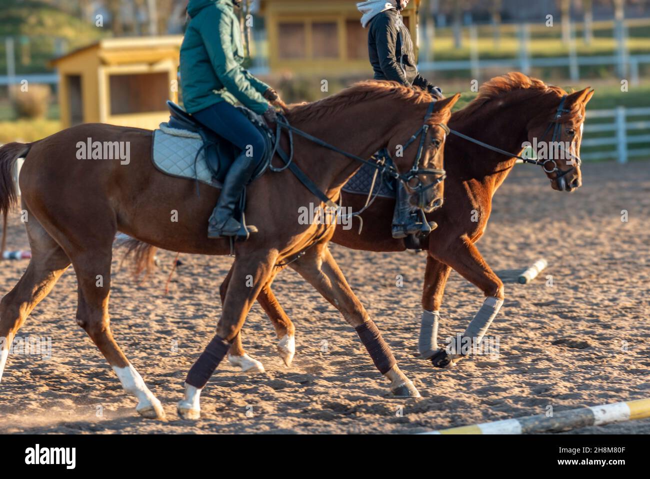 riding lessons, useful skill, horse therapy Stock Photo Alamy