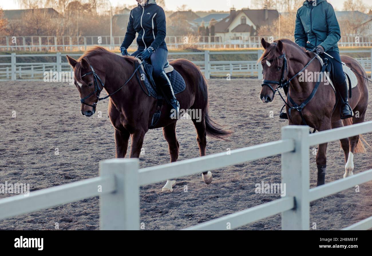 riding lessons, useful skill, horse therapy Stock Photo Alamy