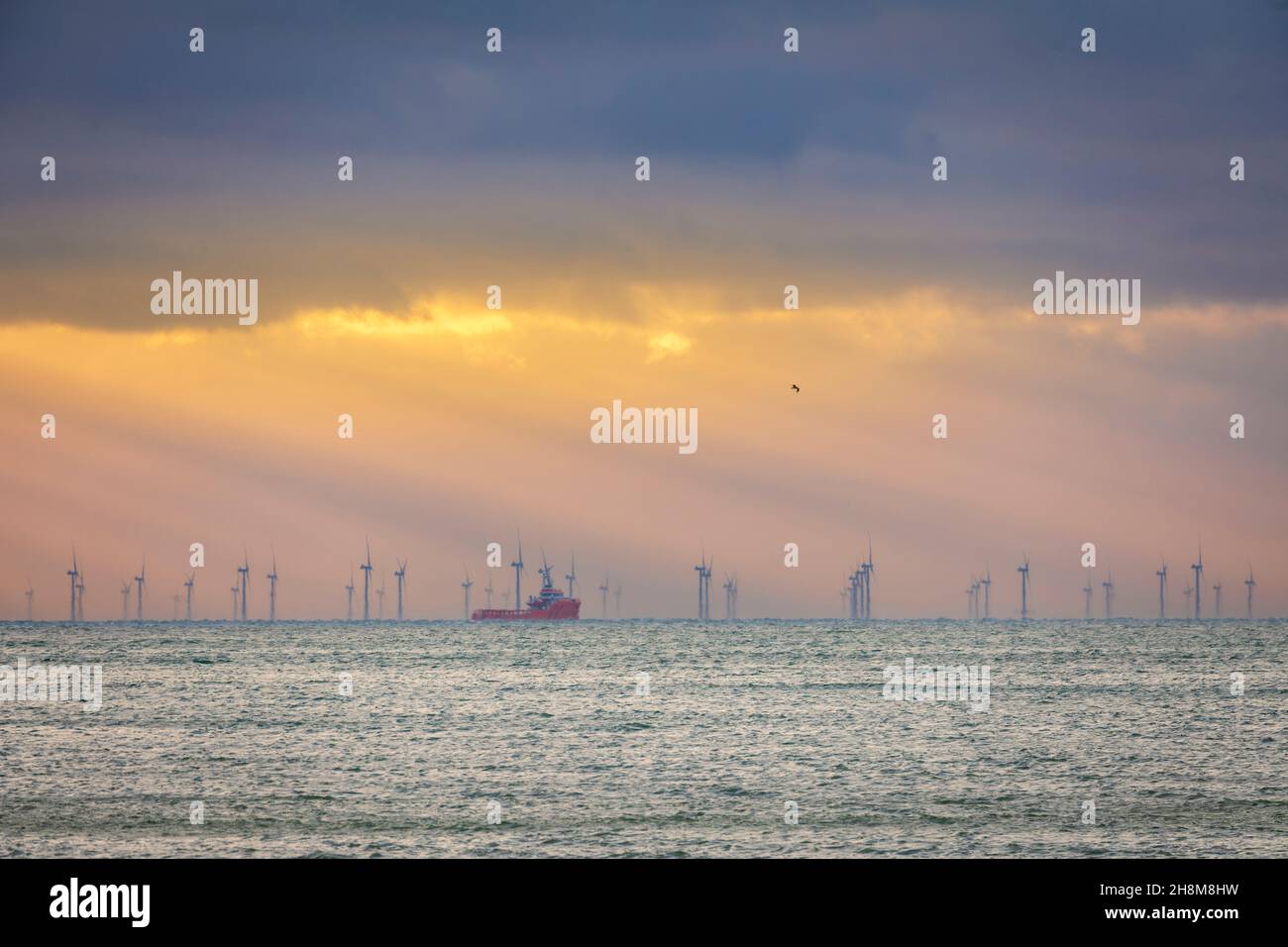 View of Rampion offshore windfarm on the south coast of Sussex from ...