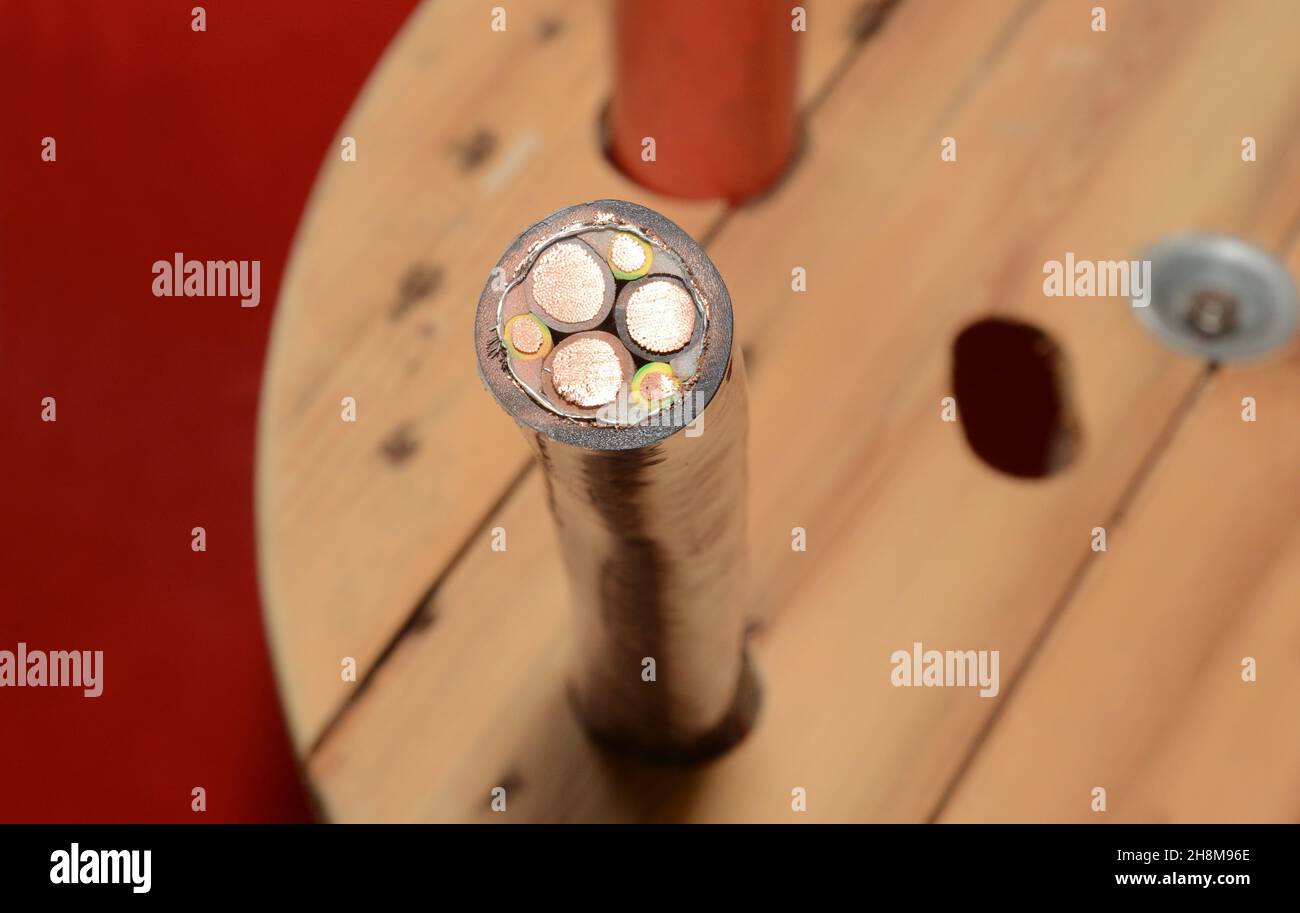 The cross-section of a tree conductor wire power cable. A close-up of a 3 conductor durable flexible copper wire cable. Stock Photo