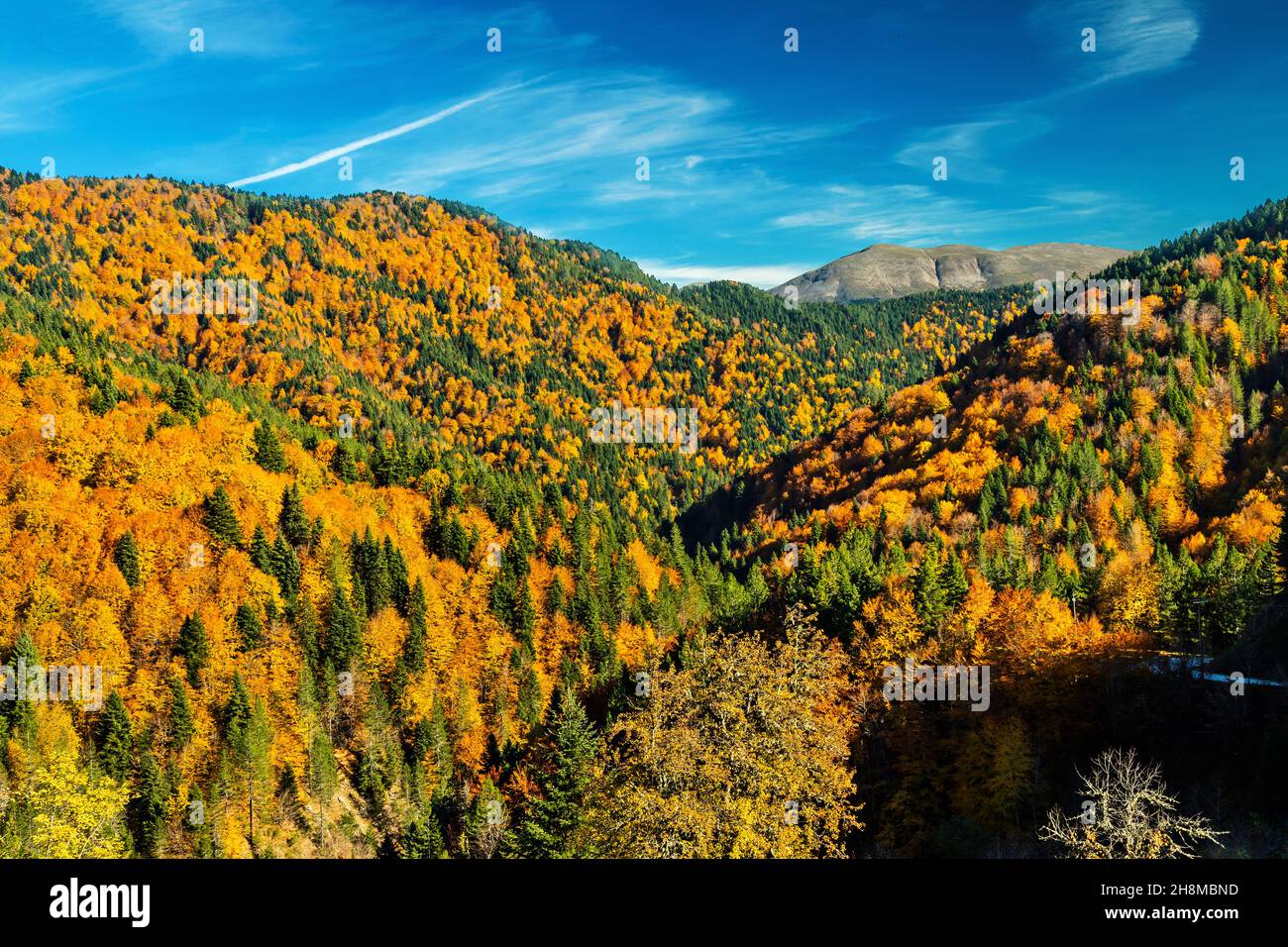 Autumn in Aspropotamos region, Trikala, Thessaly, Greece. View from Stefani village (old name "Skliniasa") at an altitude of around 1400 metres. Stock Photo