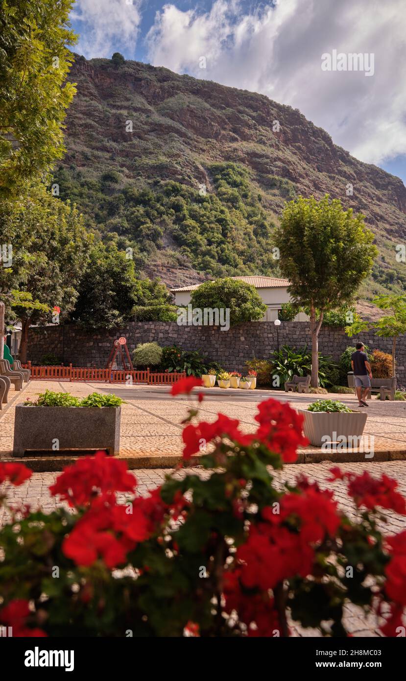 Madeira Island wild flowers Stock Photo Alamy