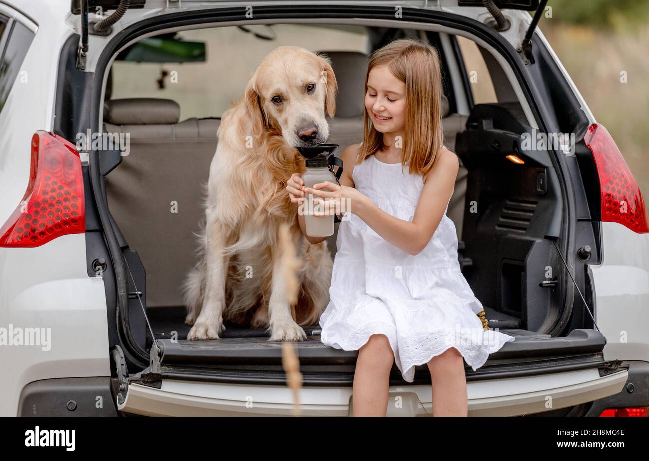 Preteen girl with golden retriever dog in car trunk Stock Photo