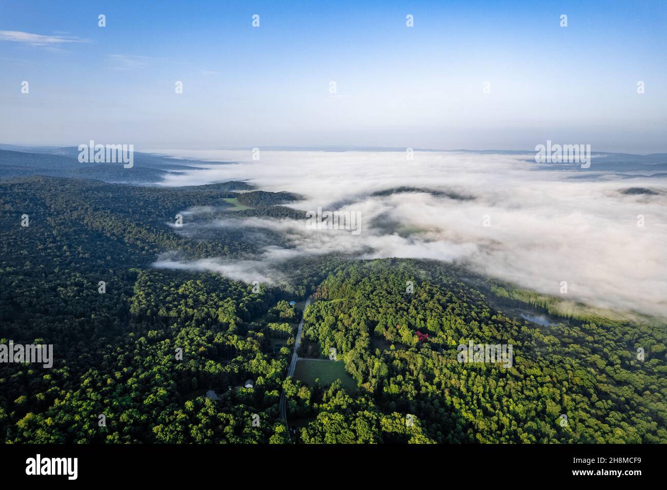 Aerial view of misty green forests Stock Photo - Alamy