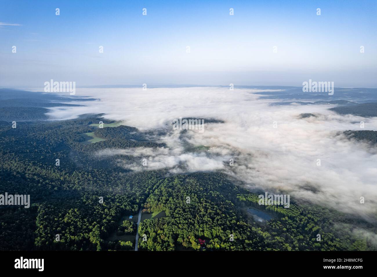 Aerial view of misty green forests Stock Photo - Alamy