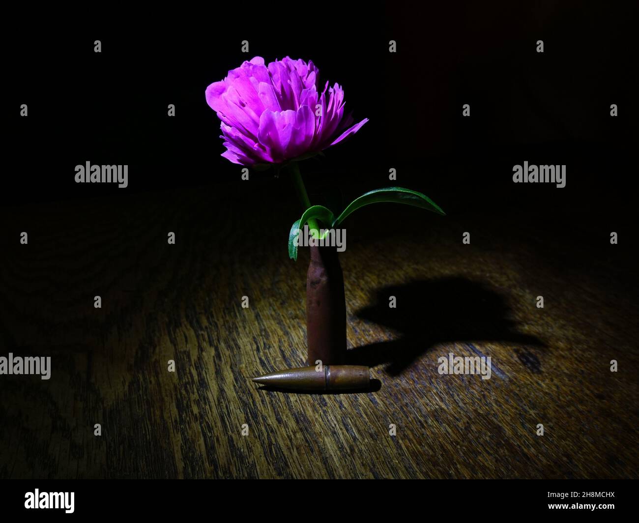 A purple flower in a bullet shell in the darkness Stock Photo