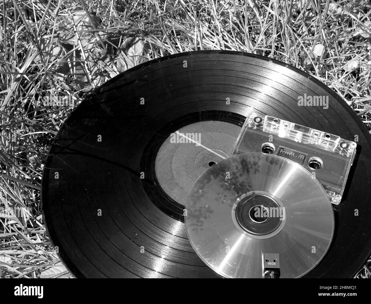 Vinyl record, CD, tape cassette and USB flash drive lay on the grass forgotten by time. Sound evolution concept Stock Photo