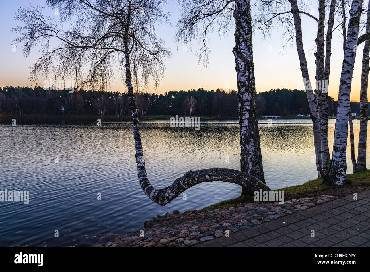 Beautiful park landscape green hi-res stock photography and images - Alamy