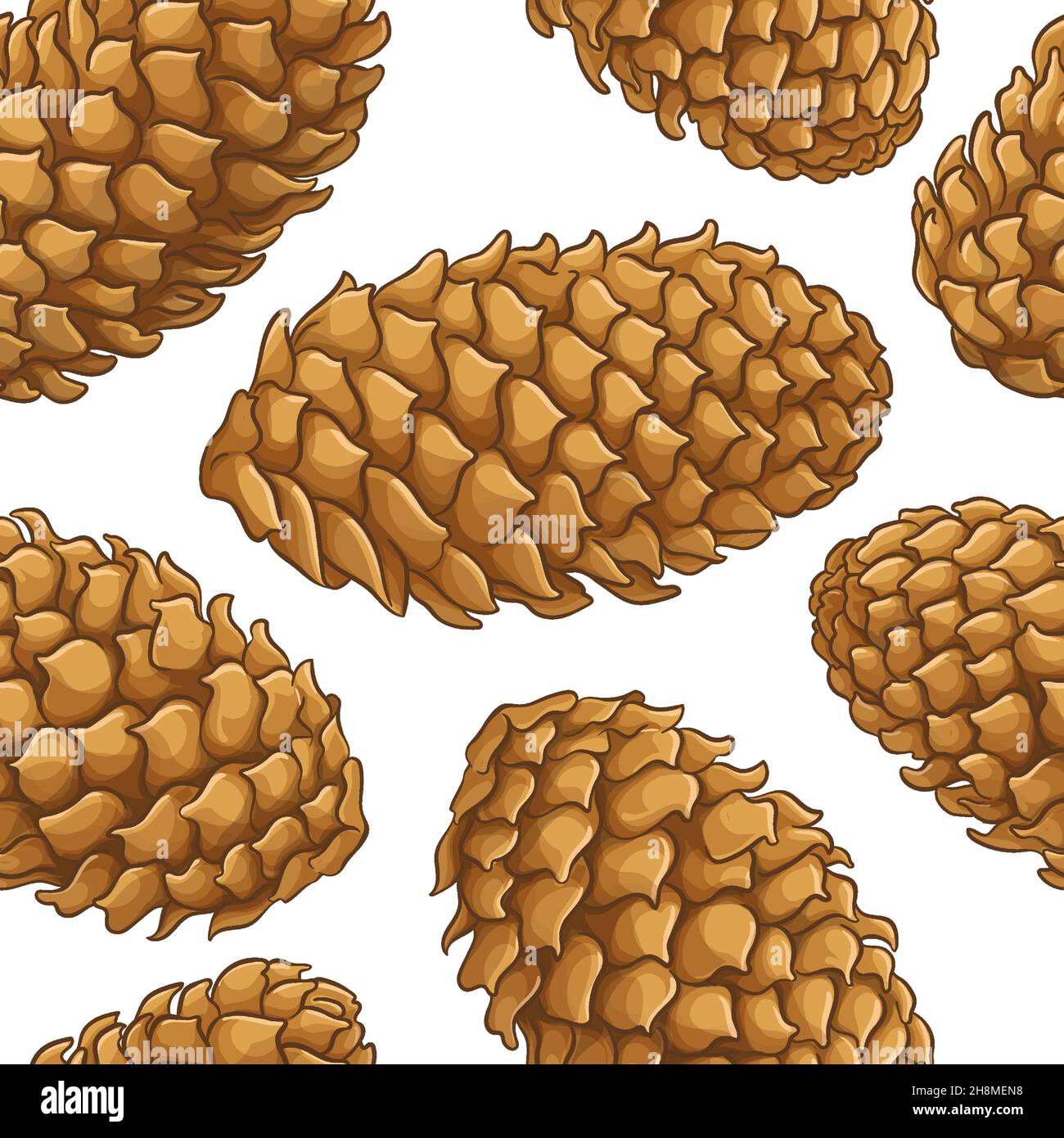 fir tree cones pattern Stock Vector
