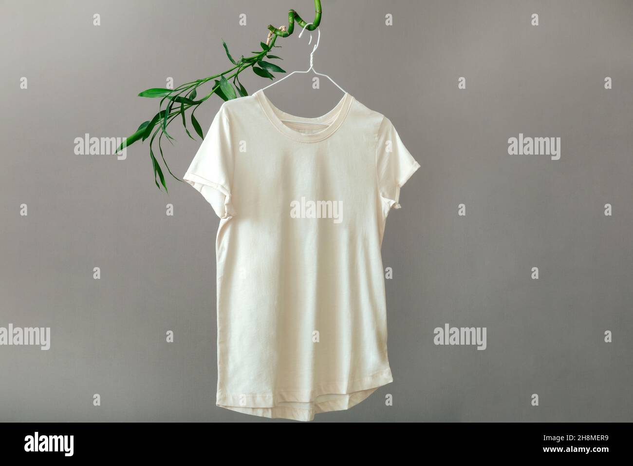 Beige T shirt hanging on hanger on plant Bamboo branches Isolated on gray background. Minimalistic Eco Concept Basic clothing T-shirt mockup. Stock Photo