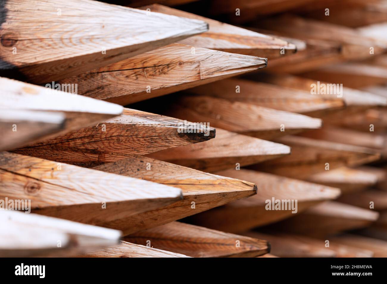 Freshly chopped wooden stakes (Selective focus) Stock Photo