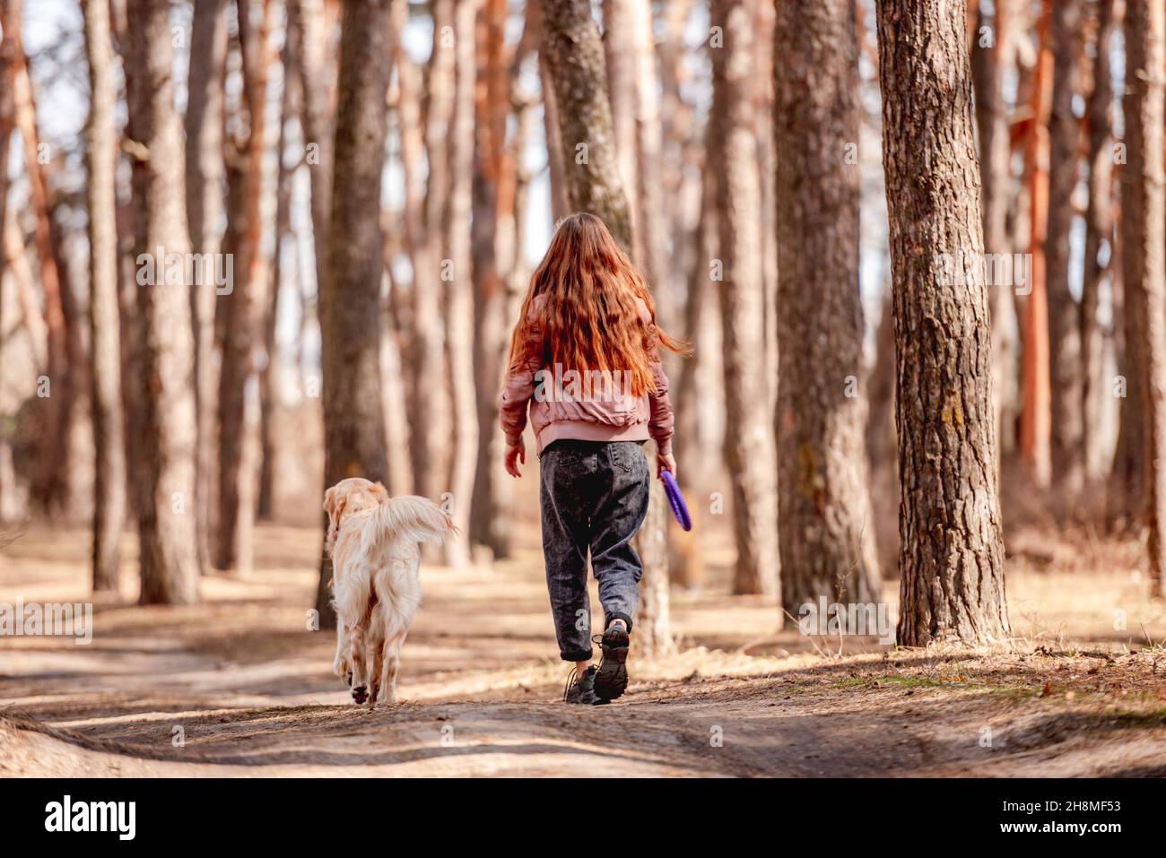 Girl with golden retriever dog in the wood Stock Photo - Alamy