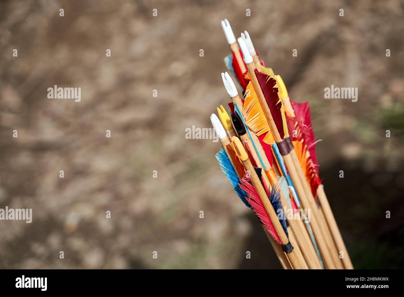 Colorful fletching of arrows. A fin-shaped aerodynamic stabilization. Copy space. Stock Photo