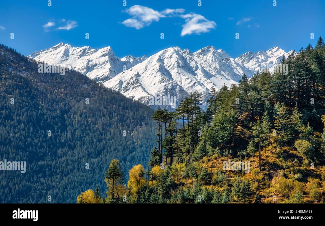 Scenic landscape at Kalpa hill station of Himachal Pradesh with dense forests on the mountain slopes and view of majestic Kailash Himalaya range Stock Photo