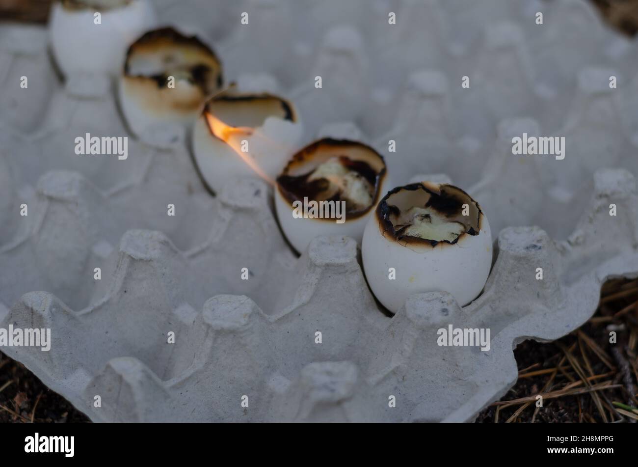 Empty eggshell candles burn in the egg tray. Five burning eggshells in a row. Selection trick. Stock Photo