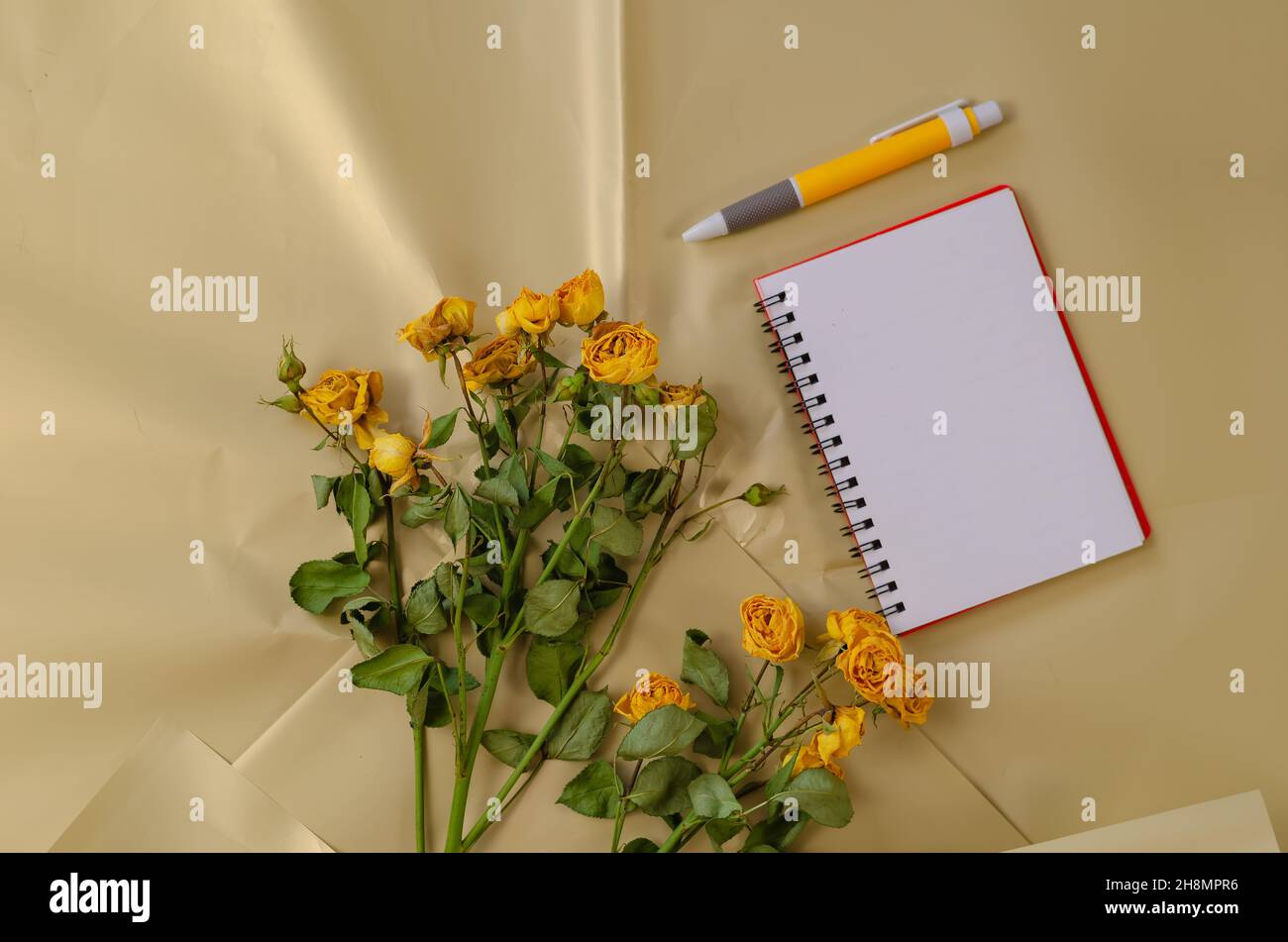 Faded flowers and a blank open notebook with a pen against a creamy ...