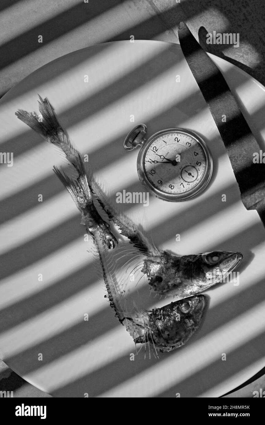 Five to Twelve, Fish Heads with Bones on Plate with Clock, Time, Time, Plate with Knife and Fish, Pocket Watch Shows 11:55, Fish with Bones Stock Photo