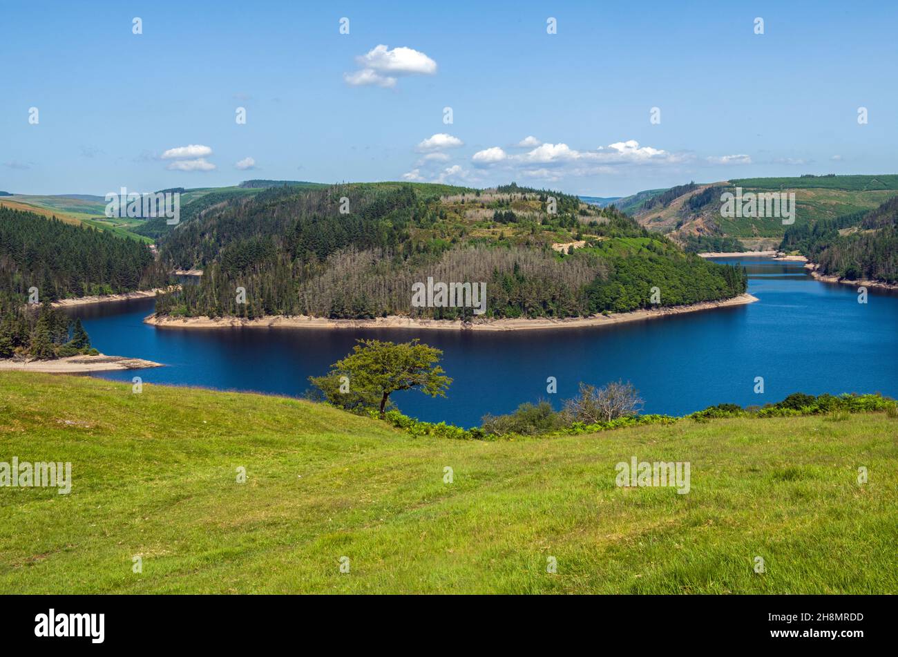 A large portion of the Llyn Brianne Reservoir in the Upper Tywi Valley on a sunny July day in summer. Stock Photo