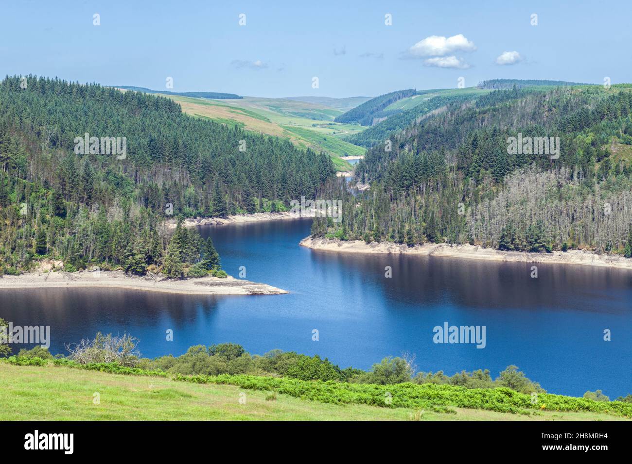 A section, or portion, of the Llyn Brianne reservoir in the Upper Tywi Valley in Carmarthenshire on a sunny July day Stock Photo